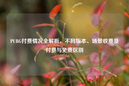 PUBG付费情况全解析,不同版本、场景收费及付费与免费区别