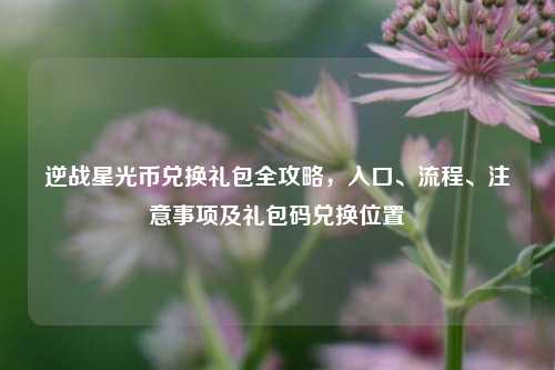逆战星光币兑换礼包全攻略，入口、流程、注意事项及礼包码兑换位置