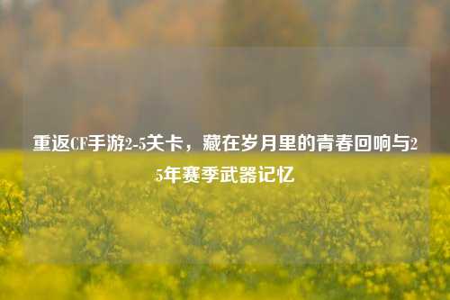 重返CF手游2-5关卡，藏在岁月里的青春回响与25年赛季武器记忆
