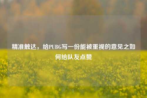 精准触达，给PUBG写一份能被重视的意见之如何给队友点赞