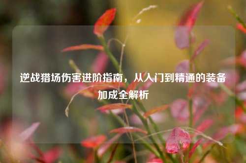 逆战猎场伤害进阶指南，从入门到精通的装备加成全解析