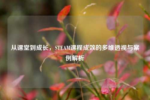 从课堂到成长，STEAM课程成效的多维透视与案例解析