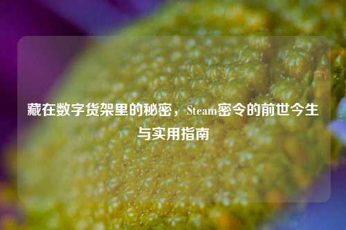 藏在数字货架里的秘密，Steam密令的前世今生与实用指南