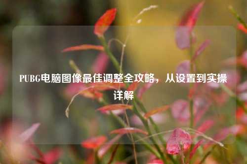 PUBG电脑图像最佳调整全攻略，从设置到实操详解