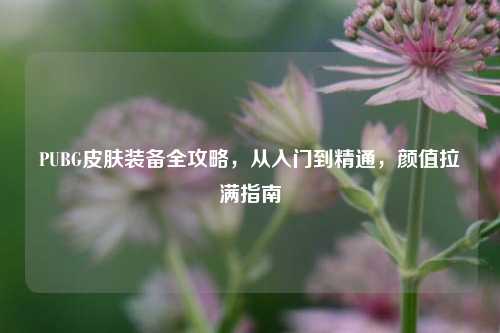 PUBG皮肤装备全攻略，从入门到精通，颜值拉满指南