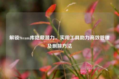 解锁Steam库隐藏潜力，实用工具助力高效管理及删除方法