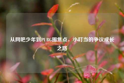 从网吧少年到PUBG圈焦点，小叮当的争议成长之路