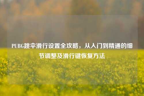 PUBG跳伞滑行设置全攻略，从入门到精通的细节调整及滑行键恢复方法