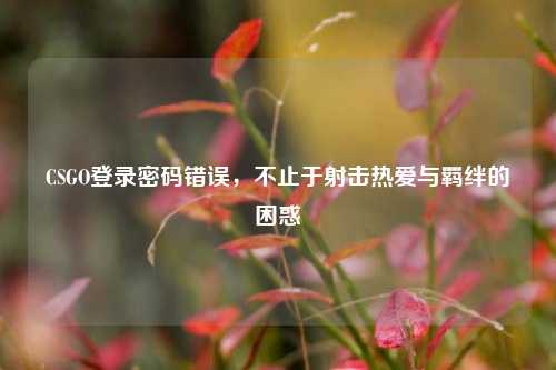 CSGO登录密码错误，不止于射击热爱与羁绊的困惑
