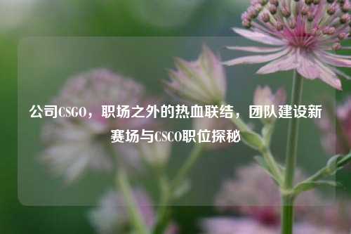 公司CSGO，职场之外的热血联结，团队建设新赛场与CSCO职位探秘