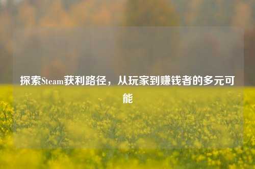探索Steam获利路径，从玩家到赚钱者的多元可能
