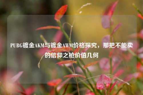 PUBG镀金AKM与镀金AWM价格探究，那把不能卖的信仰之枪价值几何