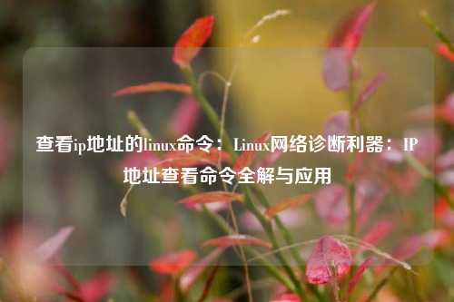 查看ip地址的linux命令：Linux网络诊断利器：IP地址查看命令全解与应用