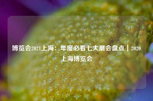 博览会2021上海：年度必看七大展会盘点｜2020上海博览会