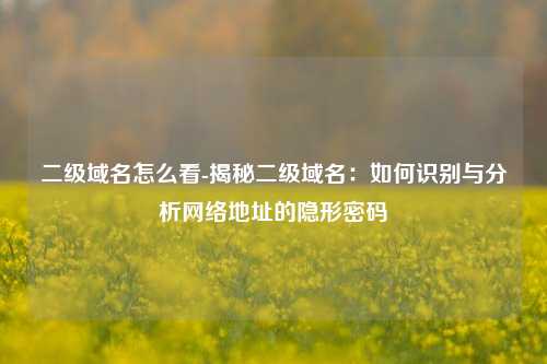 二级域名怎么看-揭秘二级域名：如何识别与分析网络地址的隐形密码