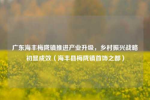 广东海丰梅陇镇推进产业升级，乡村振兴战略初显成效（海丰县梅陇镇首饰之都）