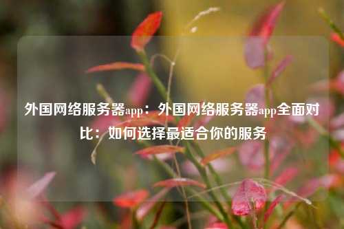 外国网络服务器app：外国网络服务器app全面对比：如何选择最适合你的服务