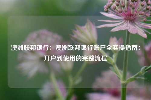 澳洲联邦银行：澳洲联邦银行账户全实操指南：开户到使用的完整流程