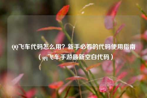 QQ飞车代码怎么用？新手必看的代码使用指南（qq飞车手游最新空白代码）