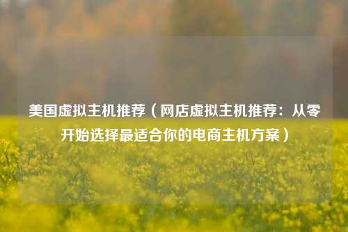 美国虚拟主机推荐（网店虚拟主机推荐：从零开始选择最适合你的电商主机方案）