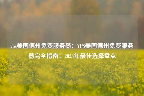 vps美国德州免费服务器：VPS美国德州免费服务器完全指南：2023年最佳选择盘点