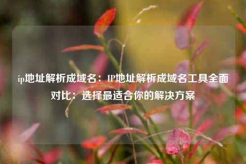 ip地址解析成域名：IP地址解析成域名工具全面对比：选择最适合你的解决方案